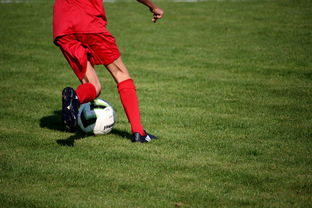 mk体育官方网站-篮球运动员心理素质测评体系构建，篮球运动员心理素质的重要性