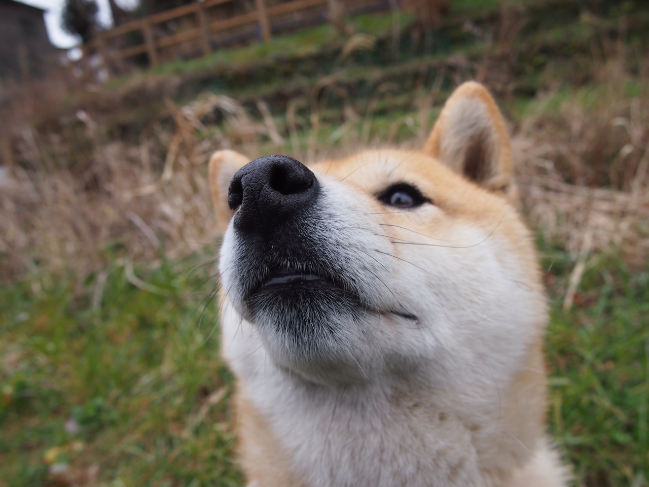 运动员训练方法创新计划,运动员的训练计划