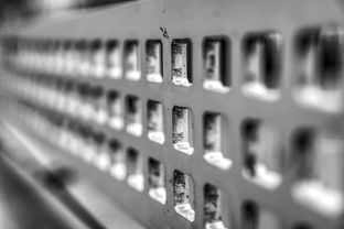 mk体育全站-青少年体质监测结果区域对比研究，青少年健康体质检测中心