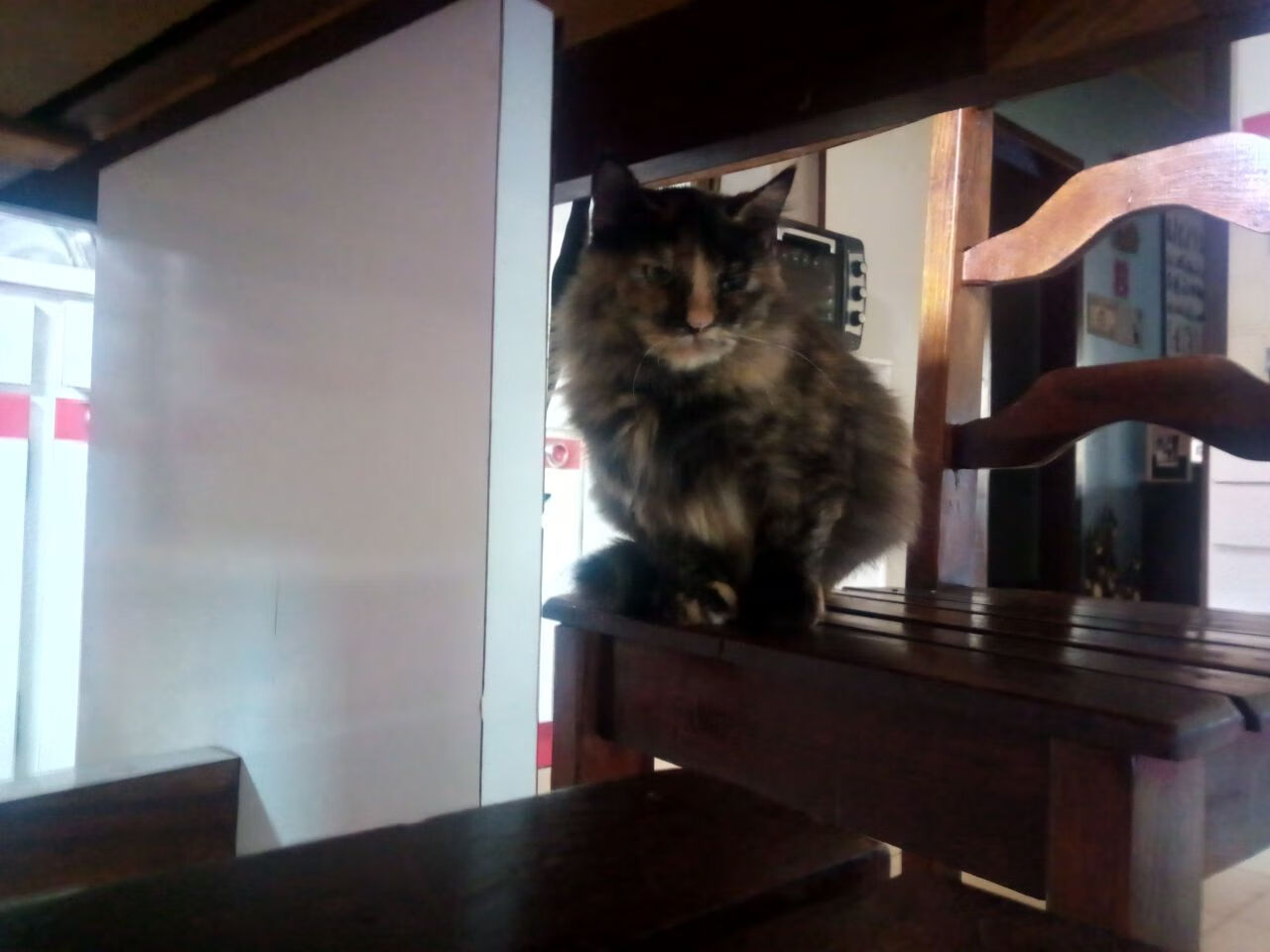 高校运动员训练负荷科学监测与管理研究,运动训练学负荷量