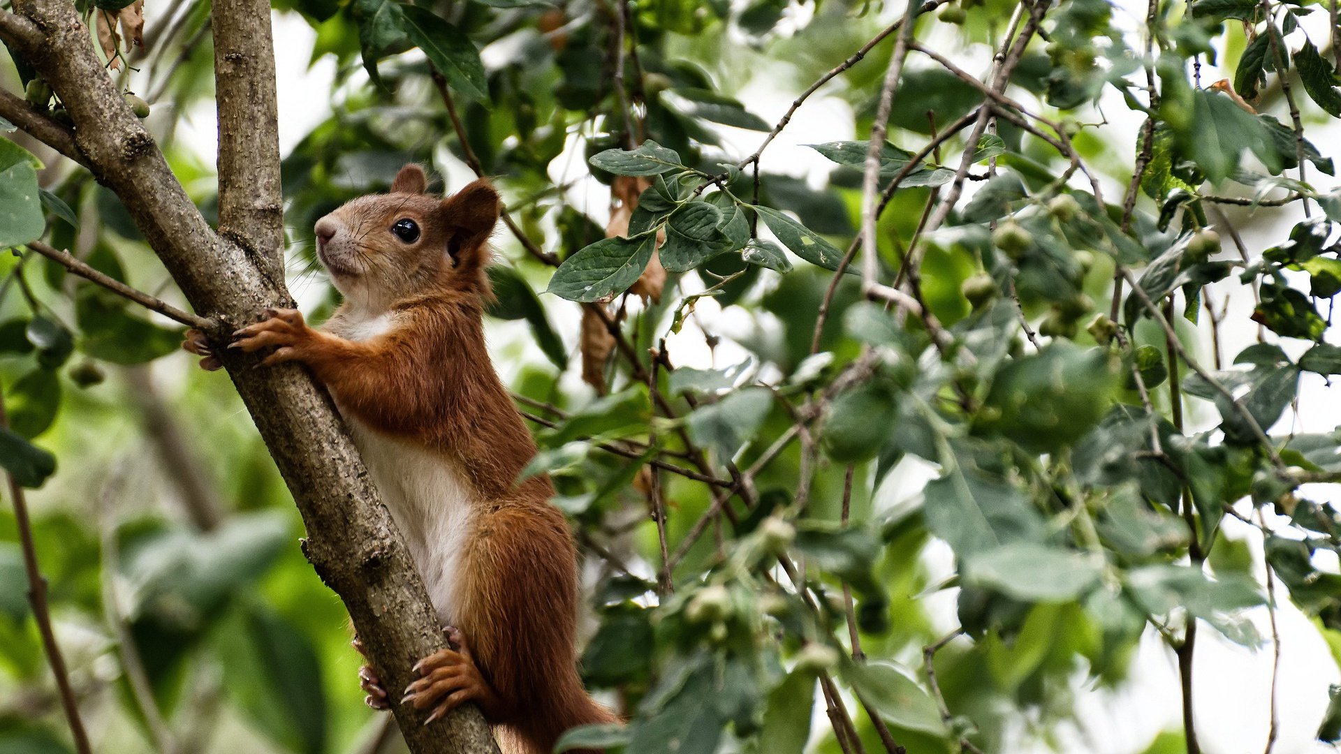 “2025世界游泳锦标赛:游泳项目的速度挑战与极限突破”