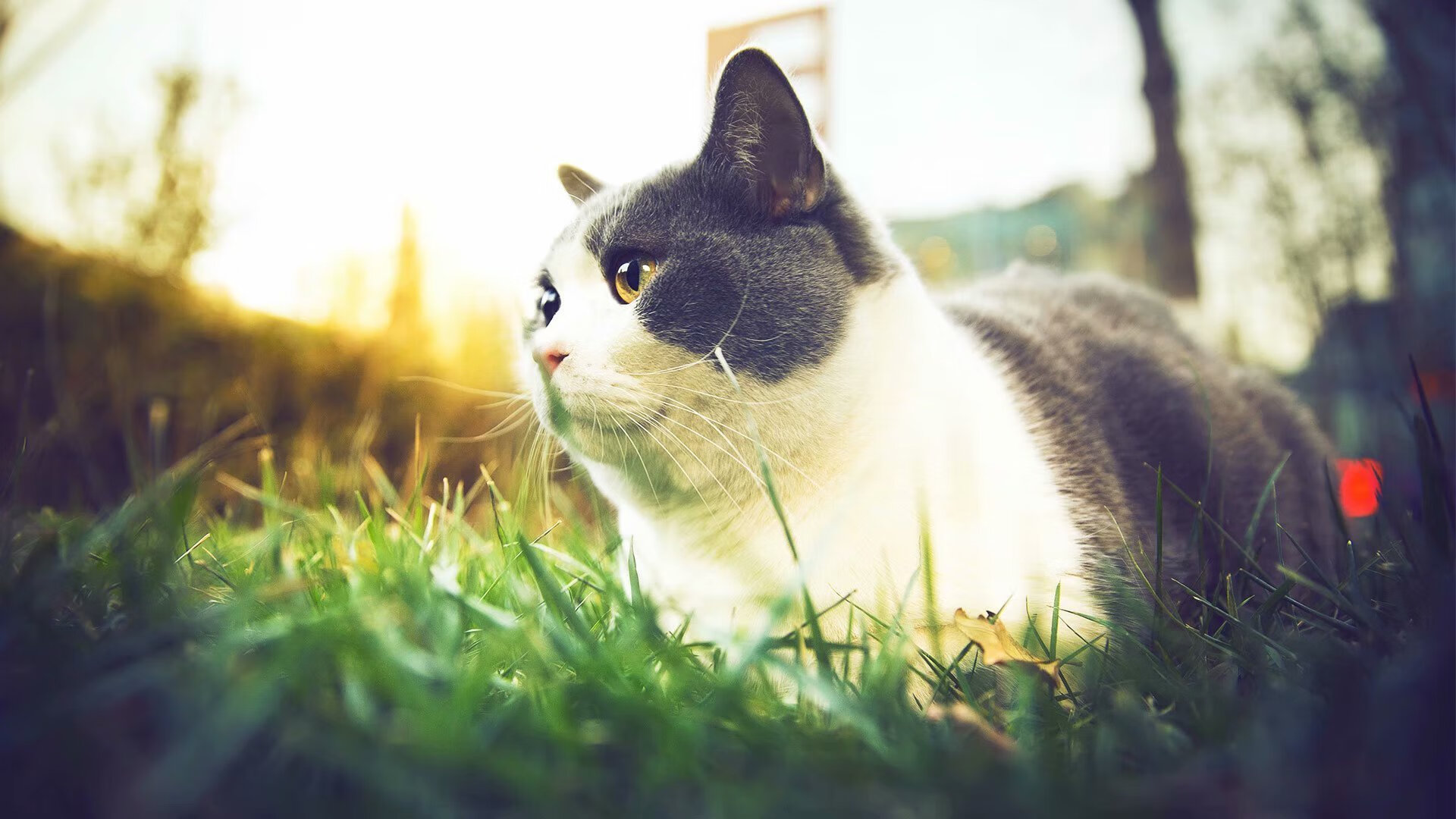 东京奥运后乒乓球赛事大回顾,经典回放,东京奥运会乒乓球精彩回放