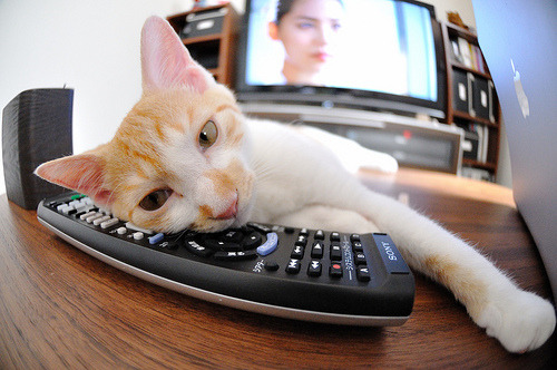 乒乓赛制改革成功吸引全球关注,《从2008到2022》_乒乓球改赛制