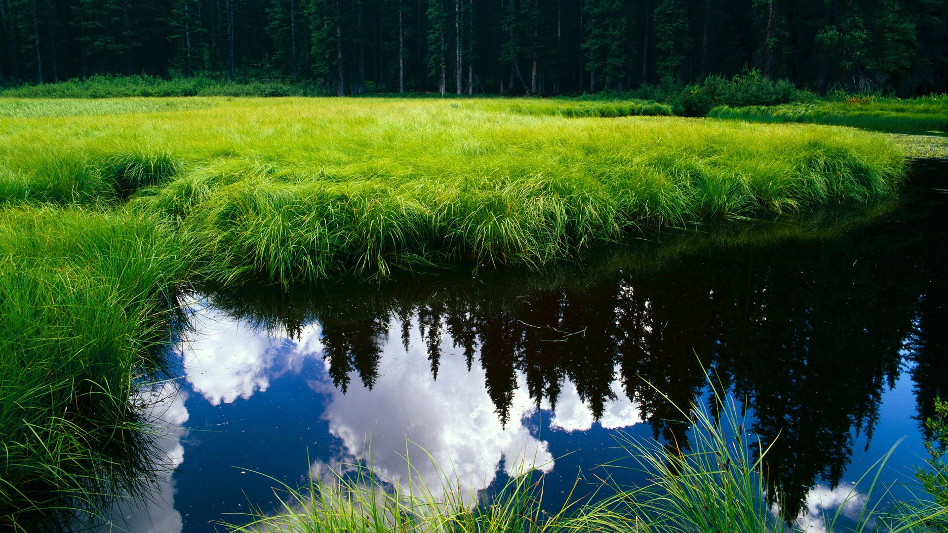 切尔西边后卫攻守兼备表现亮眼,切尔西边后卫名宿