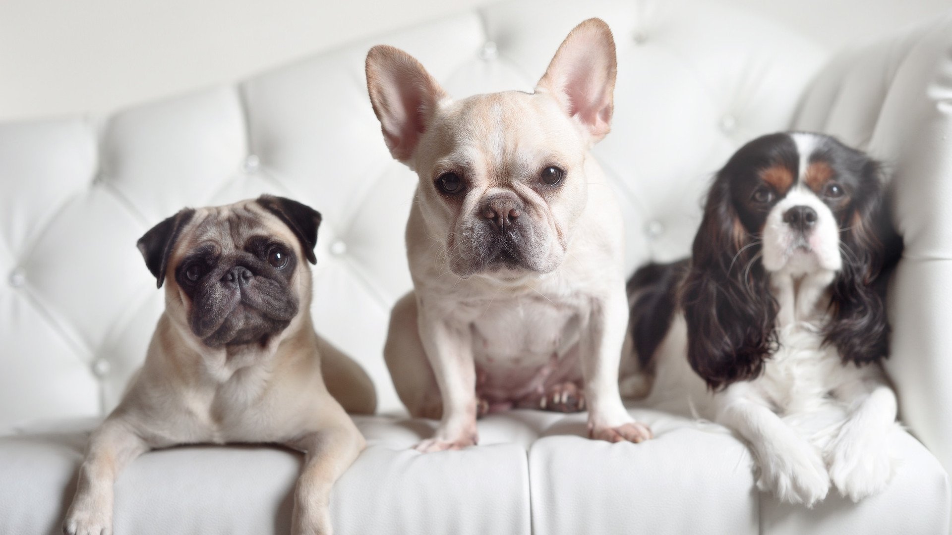 mk体育全站-防守反击球队是否更适应五大联赛下半赛季节奏，防守反击什么意思