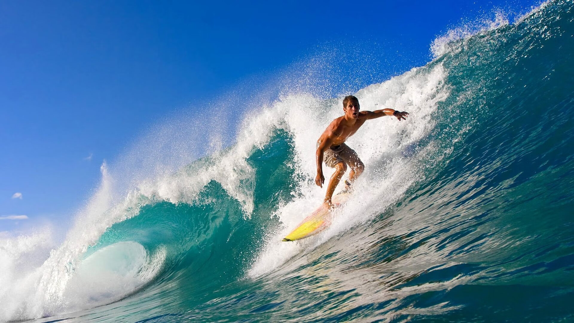 “亚戈·卡尔曼的脚下功夫和全能球技,成就阿根廷美洲狮队的辉煌”