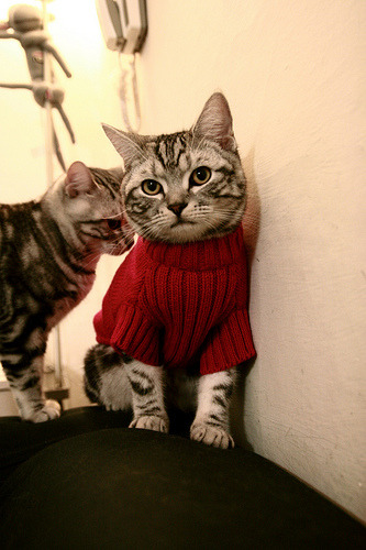 中国足球青少年足球文化推广活动日益丰富,中国青少年足球发展路径选择