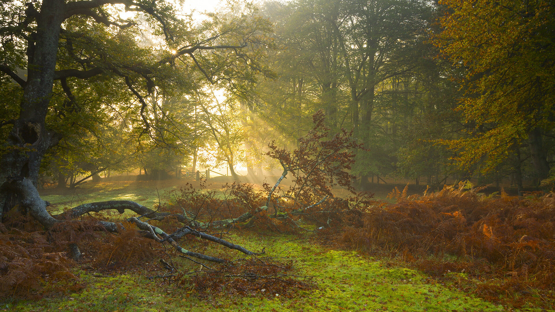 mk体育现在-乌干达男篮在非洲预赛中奋勇突破，迈向更高峰，乌干达vs南非