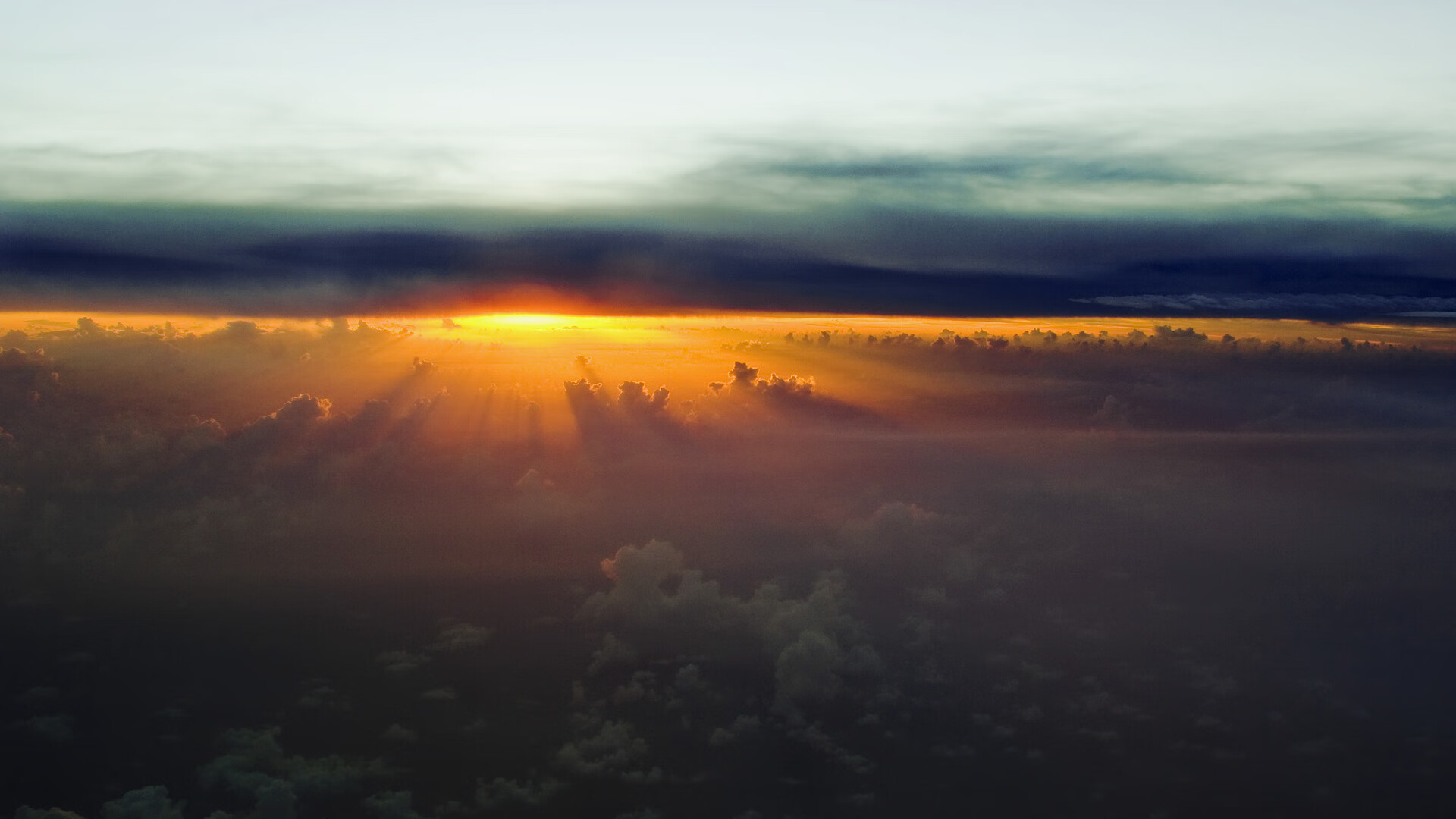 仰泳预赛突尼斯稳定晋级，仰泳国际比赛视频