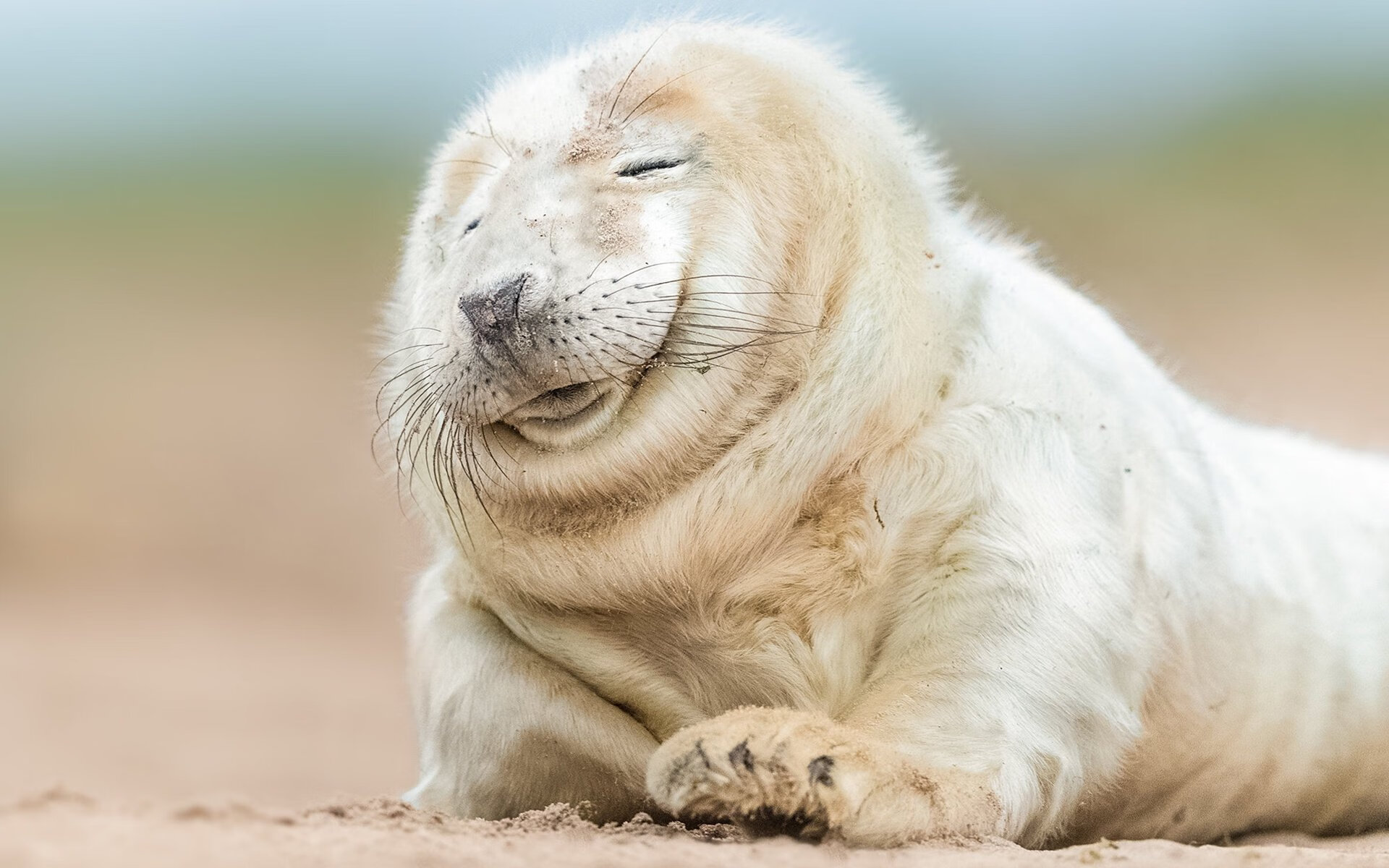 mk sport-体育品牌合作拓展至学校运动会，体育品牌推广策略