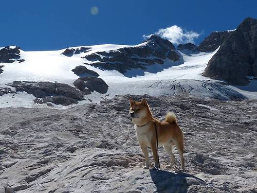 mk体育-女篮青训强调低位脚步训练丰富内线进攻手段，女篮训练方法视频