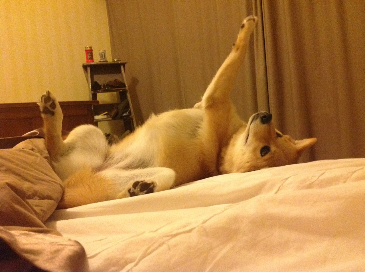 德甲百变策略:变化多端,令人惊喜!