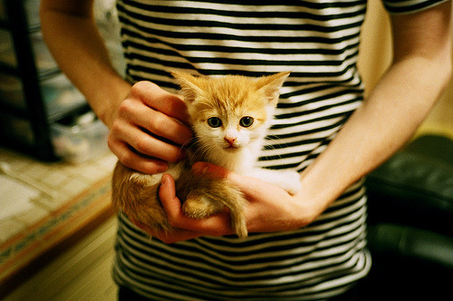 政府助力橄榄球场馆设施建设,橄榄球场地面积